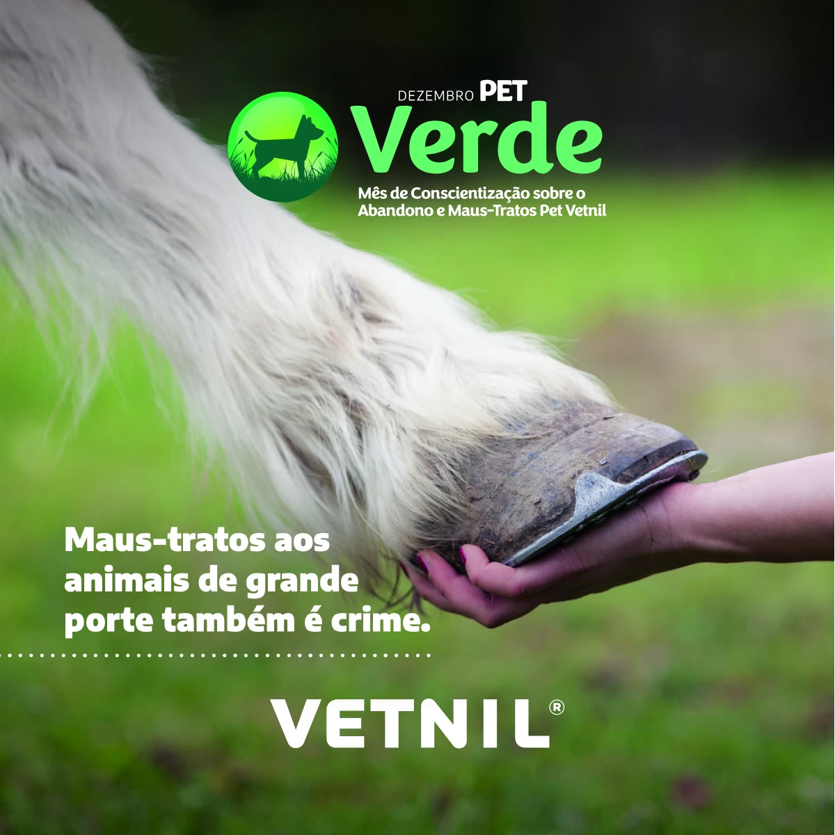 Dezembro Pet Verde - Mês de Conscientização sobre o Abandono e Maus-Tratos Pet Vetnil