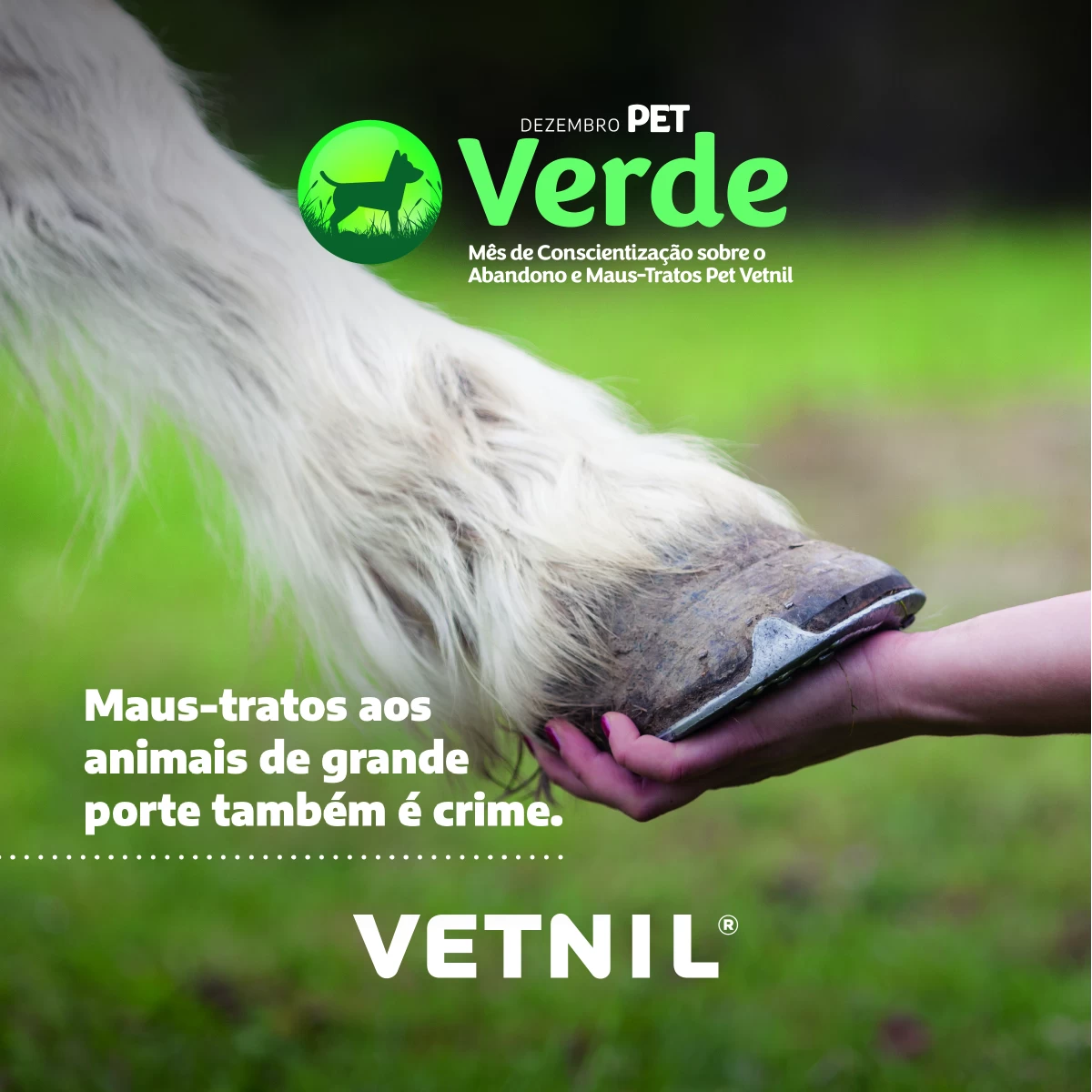 Noticias Vetnil