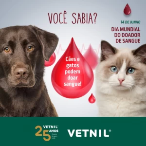 14 de Junho - Dia Mundial do Doador de Sangue - Cães e Gatos