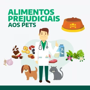 Alimentos Prejudiciais aos Pets