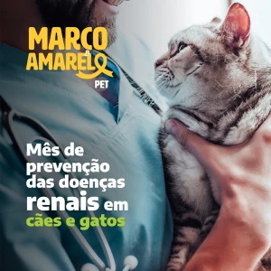 Março Amarelo Pet - Mês de Prevenção das Doenças Renais em Cães e Gatos