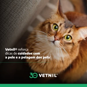 Noticia Vetnil