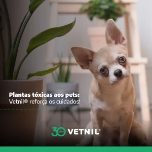 Noticia Vetnil