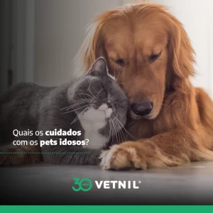 Noticia Vetnil