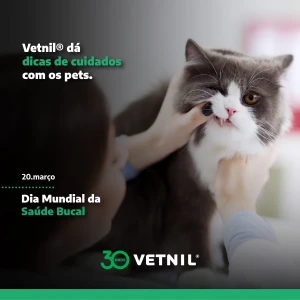 Noticia Vetnil