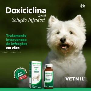Noticia Vetnil