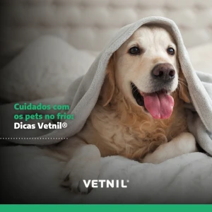 Noticia Vetnil