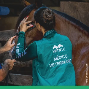 Noticia Vetnil