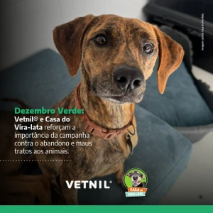 Noticia Vetnil