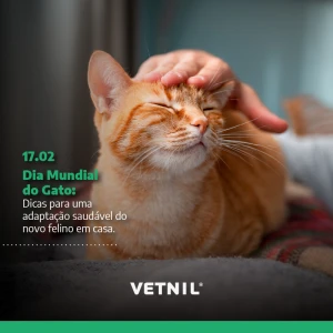 Noticia Vetnil