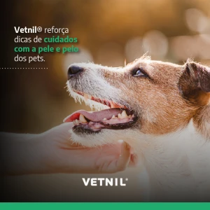 Noticia Vetnil
