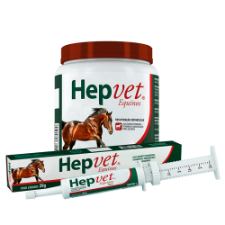 Hepvet-R-Equinos