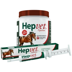 Hepvet-R-Equinos