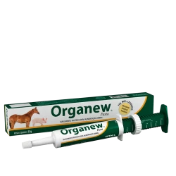 Organew® Pasta