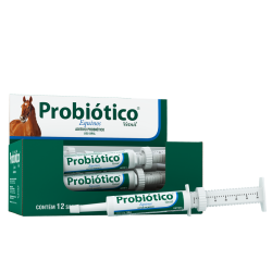 Probiotico-R-Vetnil-Equinos