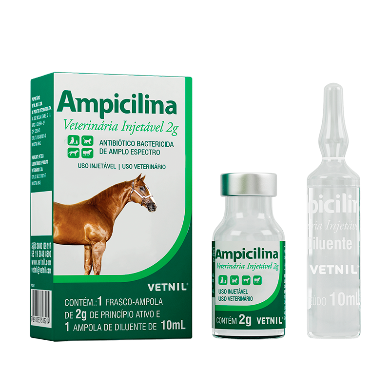 Ampicilina-R-Veterinaria-Injetavel