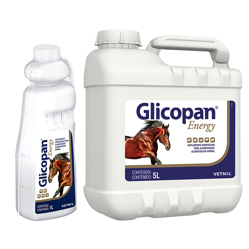 Glicopan-R-Energy