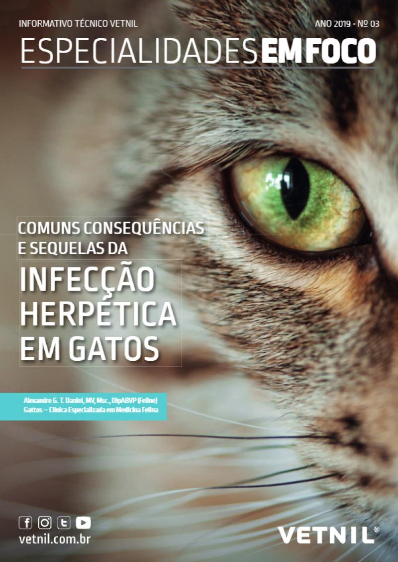 Info Tec Esp em Foco - Infecção herpética em gatos (jun/2019)