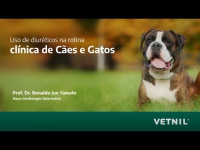 Videoaula “Uso de diuréticos na rotina clínica de cães e gatos”