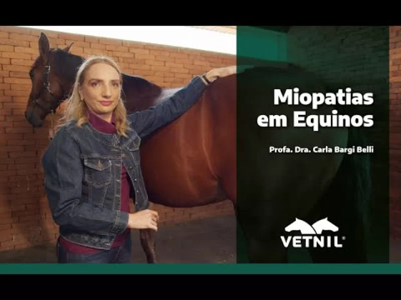 Videoaula: Miopatias em Equinos - Profa. Dra. Carla Bargi Belli