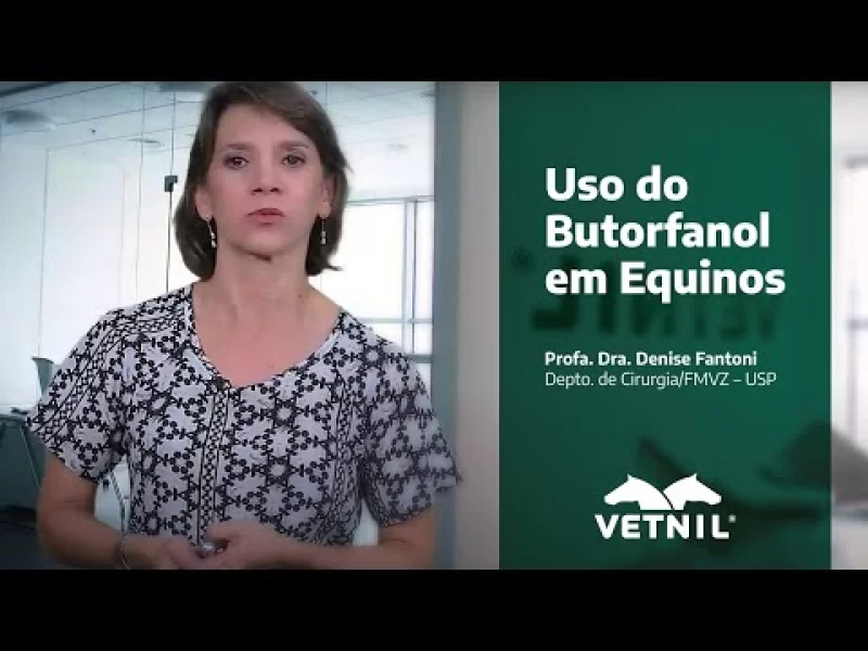 Videoaula: Uso do Butorfanol em equinos - Profa. Dra. Denise Fantoni