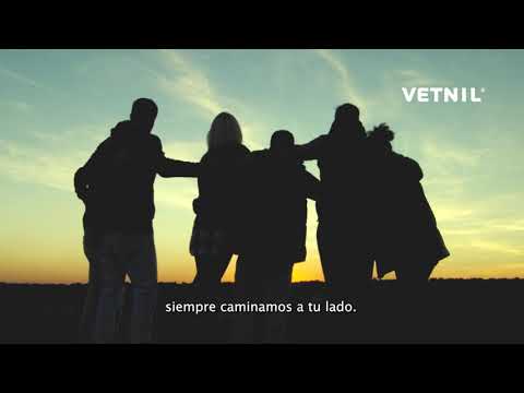 Día Del Médico Veterinario Vetnil 2022