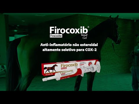 Conheça o Firocoxib Vetnil® Gel – novo anti-inflamatório da Vetnil para equinos