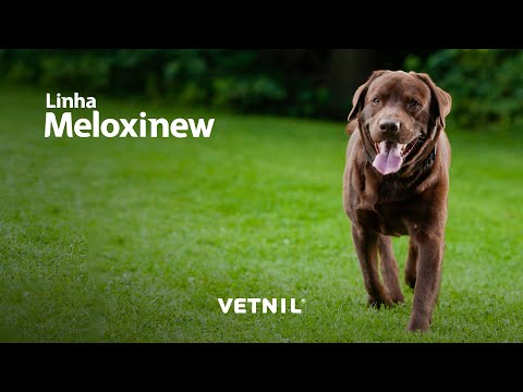 Linha Meloxinew: Os pets livres das dores