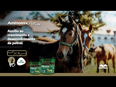 Aminomix® Potros JCR