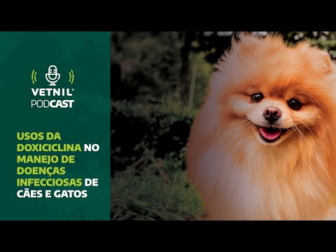 Vetnil® Podcast – Usos da Doxiciclina no manejo de Doenças Infecciosas em cães e gatos