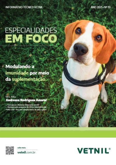 61c1fc82833a3vetdicas