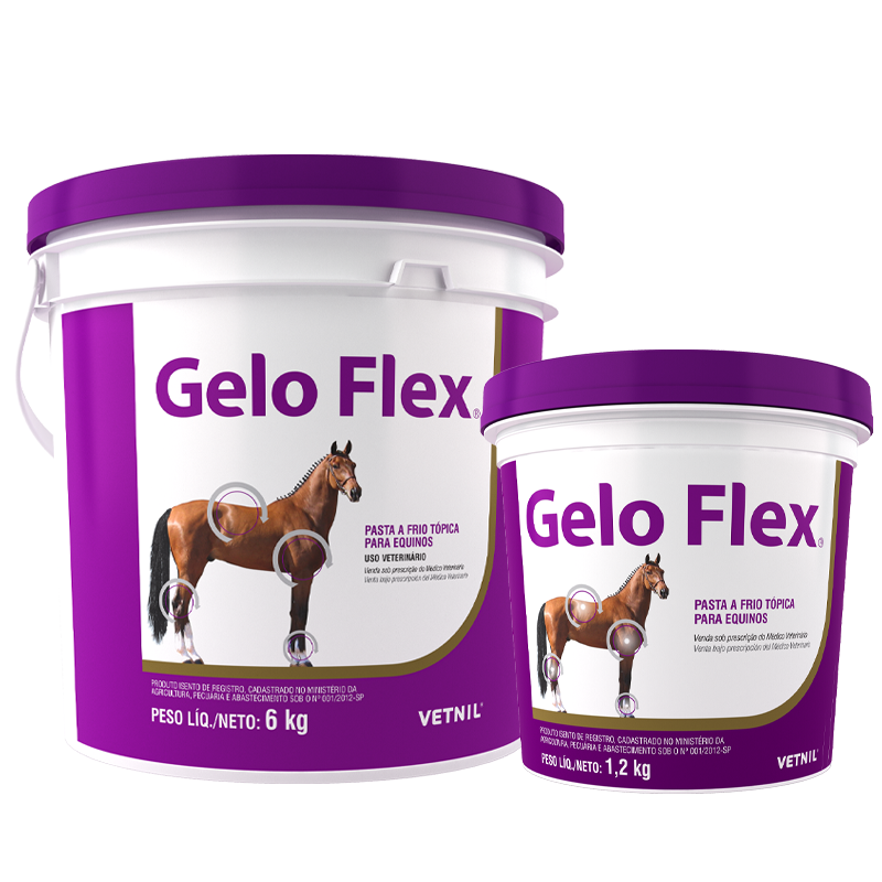gelo-flex-r
