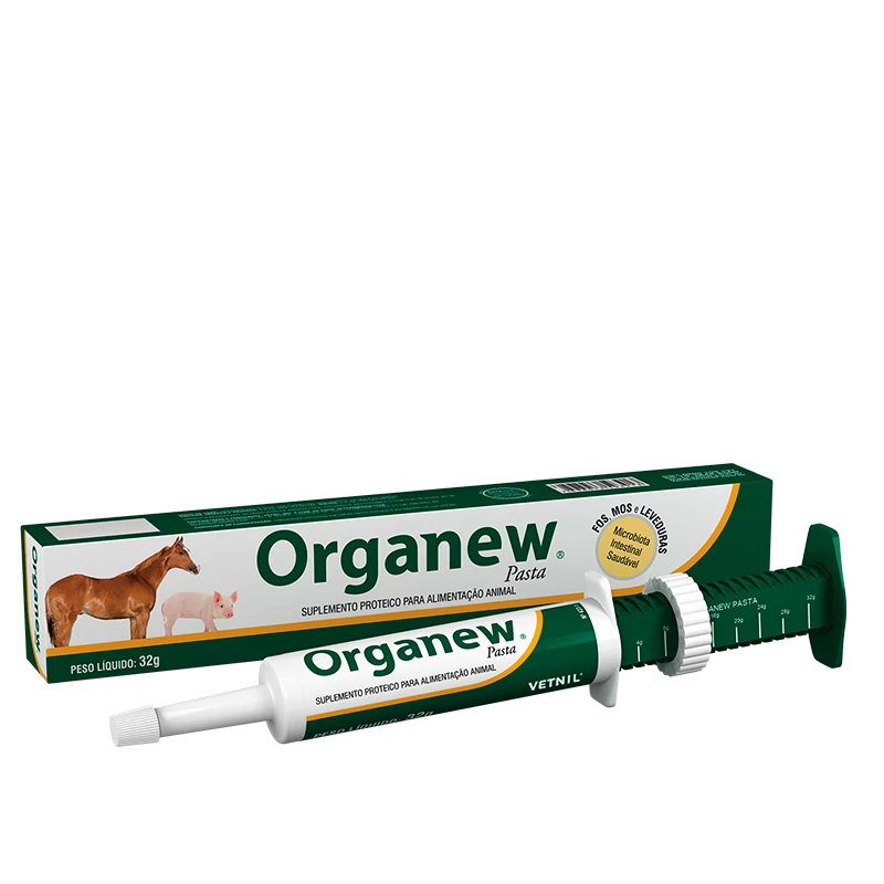 organew-r-pasta