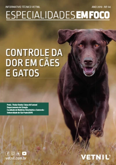 vetdicas_60e4745b05f75