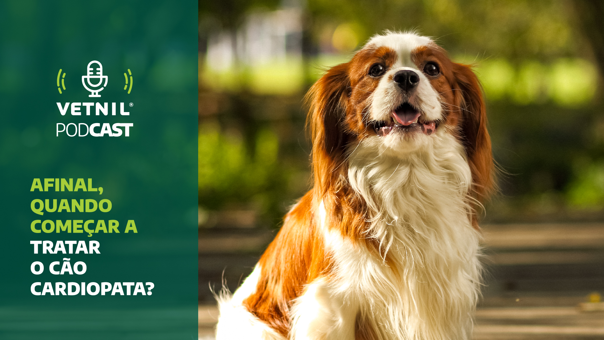 Vetnil® Podcast com o tema “Afinal, quando começar a tratar o cão cardiopata?” Conversa entre o M.V. Esp. Lucas Navajas, Presidente da Sociedade Brasileira de Cardiologia Veterinária e o M.V. Kauê Ribeiro da Silva, Coordenador de Comunicação Técnica da Vetnil®.
